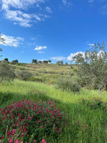 Casa Country Villa Agrigento Exterior photo
